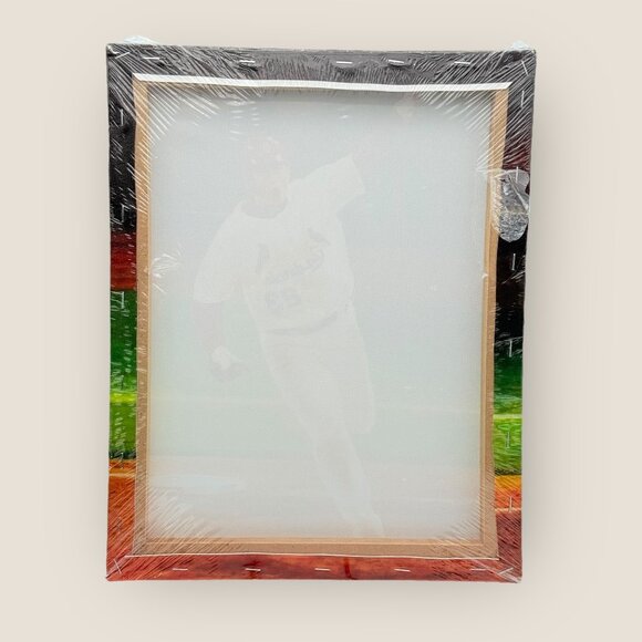 David Freese St. Louis Cardinals 11 x 14 Canvas Print By Cole Meyer 2023 New - Picture 2 of 2